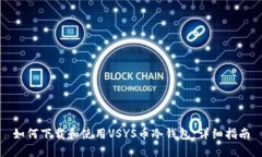 如何下载和使用VSYS币冷钱包：详细指南