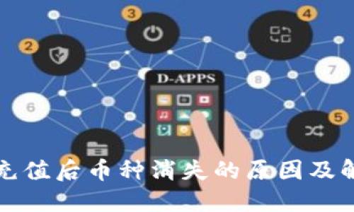 TP钱包充值后币种消失的原因及解决方法