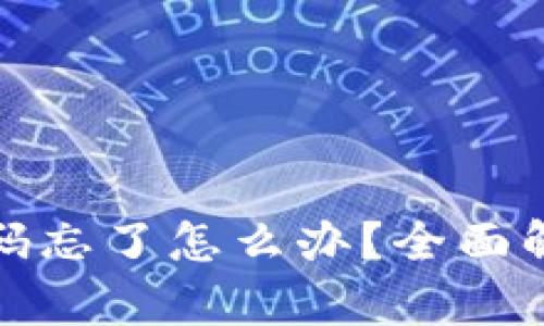 tP钱包闪兑密码忘了怎么办？全面解析与解决方案