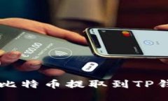 中本聪如何将比特币提取到TP钱包的详细指南