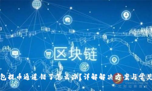 TP钱包提币通道错了怎么办？详解解决方案与常见问题