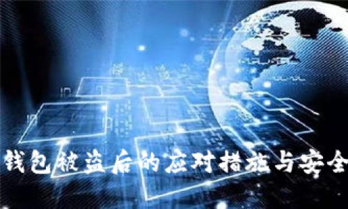 数字钱包被盗后的应对措施与安全指南