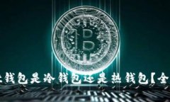 Bitget钱包是冷钱包还是热钱包？全面解析