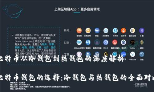 比特币从冷钱包到热钱包的深度解析

比特币钱包的选择：冷钱包与热钱包的全面对比