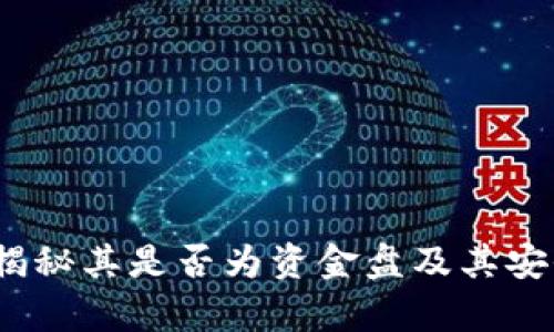 TP钱包：揭秘其是否为资金盘及其安全性分析