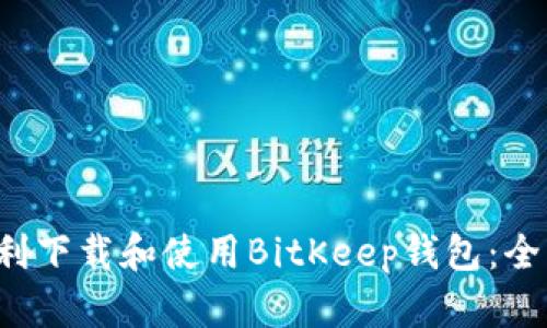  如何顺利下载和使用BitKeep钱包：全方位指南