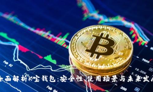 全面解析K宝钱包：安全性、使用场景与未来发展
