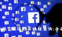 如何使用ETH浏览器进行区块链查询：全面解析与