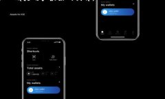   转到TP钱包里的币找不到怎么办？全面解析解决