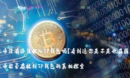 FIL币没有办法放入TP钱包吗？看到这你是不是也在困惑？

FIL币能否存放到TP钱包的真相探索