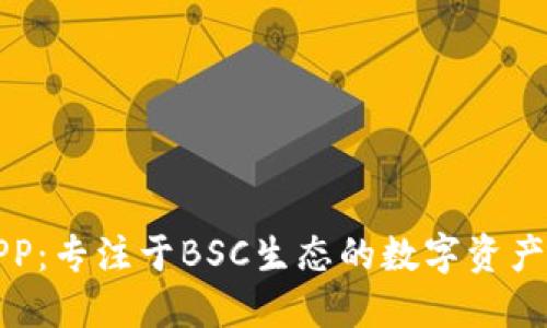 TP钱包APP：专注于BSC生态的数字资产管理利器