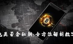 : TP观察钱包是否含私钥：全方位解析数字钱包安