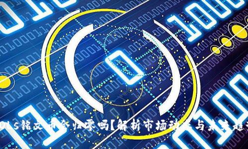 SOLs铭文币会归零吗？解析市场动态与未来趋势