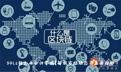 SOLs铭文币会归零吗？解析市场动态与未来趋势