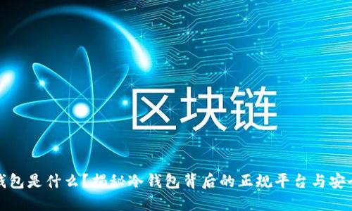 冷钱包是什么？揭秘冷钱包背后的正规平台与安全性