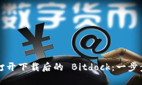 如何打开下载后的 Bitdock：一步步指南