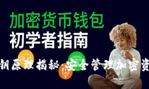 : 冷钱包的密钥原理揭秘：安全管理加密资产的必备知识