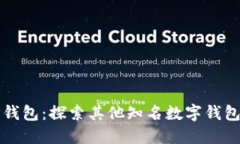 除了TP钱包：探索其他知名数字钱包的选择