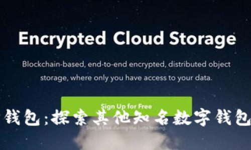 除了TP钱包：探索其他知名数字钱包的选择