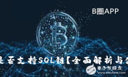 TP钱包是否支持SOL链？全面解析与使用指南