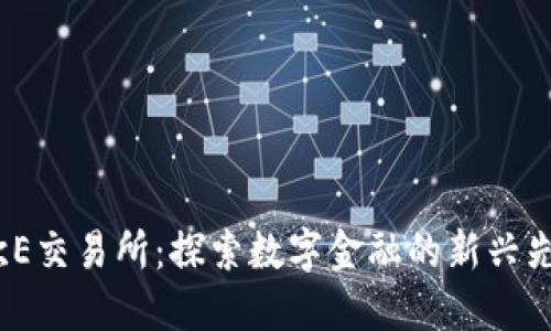  欧E交易所：探索数字金融的新兴先锋