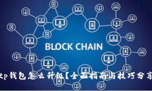 tp钱包怎么升级？全面指南与技巧分享