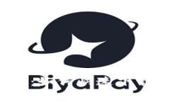 畅享顺滑体验：如何快速下载ICE安卓应用