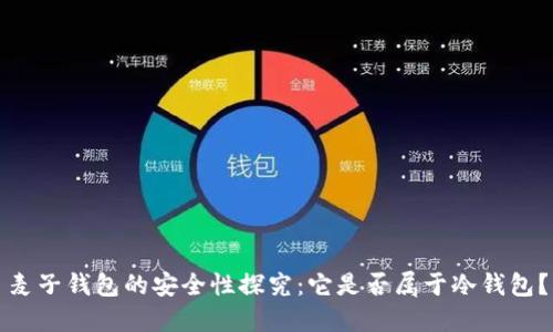 麦子钱包的安全性探究：它是否属于冷钱包？