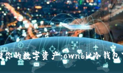 安全存储你的数字资产：ownbit冷钱包下载指南