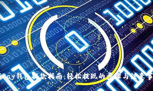 CGPay钱包提款指南：轻松提现的步骤与注意事项
