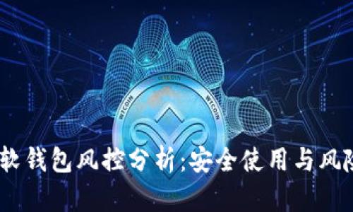 USDT软钱包风控分析：安全使用与风险防范