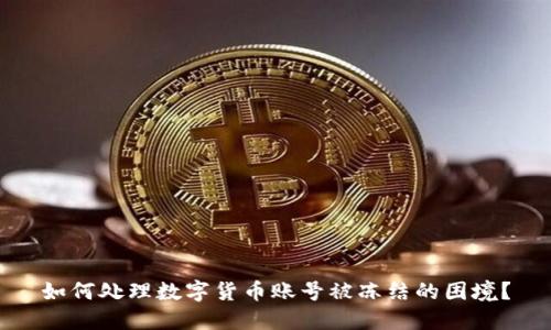 如何处理数字货币账号被冻结的困境？