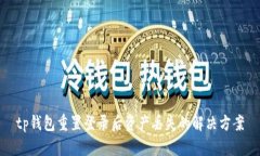 tp钱包重置登录后资产丢失的解决方案
