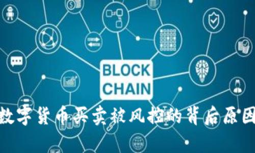 解密GoPay数字货币买卖被风控的背后原因和解决方案