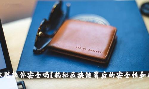 中本聪软件安全吗？揭秘区块链背后的安全性和风险