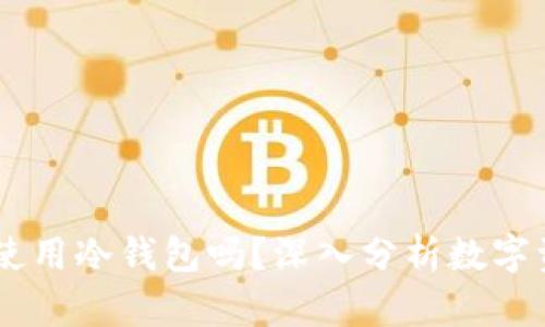 买SHIB需要使用冷钱包吗？深入分析数字资产安全策略