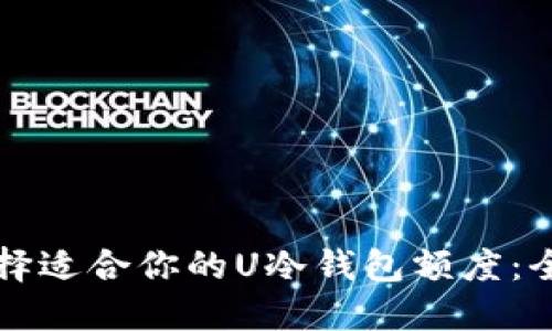 怎样选择适合你的U冷钱包额度：全面指南