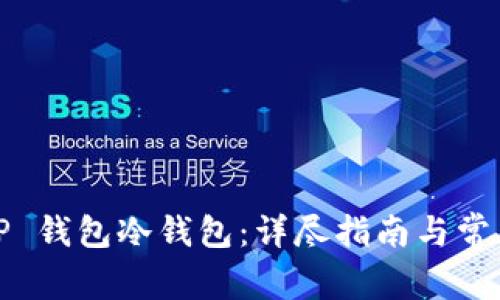 如何导入TP 钱包冷钱包：详尽指南与常见问题解答