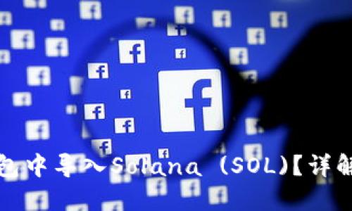 如何在TP钱包中导入Solana (SOL)？详解步骤与技巧