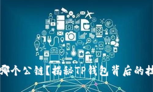 TP钱包是哪个公链？揭秘TP钱包背后的技术与生态