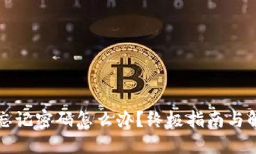中本聪忘记密码怎么办？终极指南与解决方案