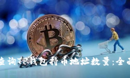 如何查询TP钱包持币地址数量：全面指南