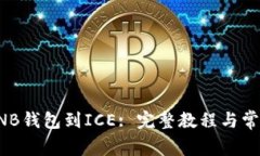 如何绑定BNB钱包到ICE: 完整教程与常见问题解答