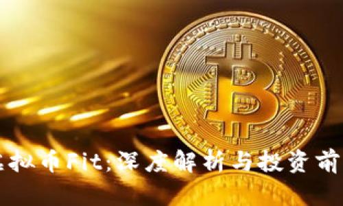 虚拟币Fit：深度解析与投资前景