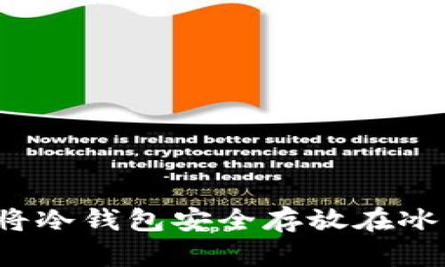 如何将冷钱包安全存放在冰箱中？